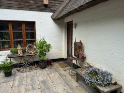 IMG_0241